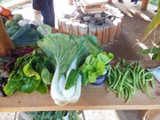 Výlet do Ekocentra MB - Spižírna